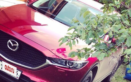 Mazda CX-5 II, 2019 год, 2 300 000 рублей, 4 фотография