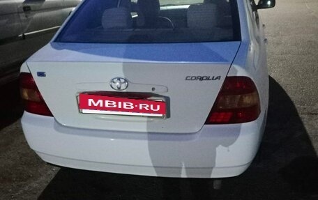 Toyota Corolla, 2001 год, 560 000 рублей, 3 фотография