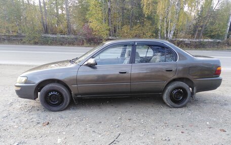 Toyota Corolla, 1992 год, 240 000 рублей, 14 фотография