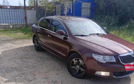 Skoda Superb III рестайлинг, 2008 год, 730 000 рублей, 4 фотография