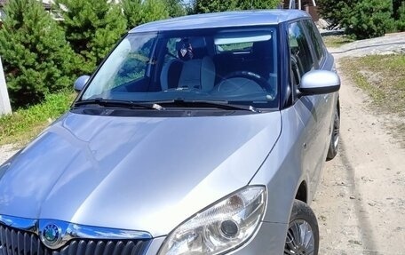 Skoda Fabia II, 2010 год, 480 000 рублей, 1 фотография