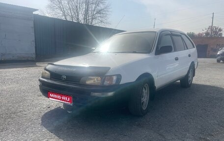 Toyota Corolla, 1999 год, 318 000 рублей, 1 фотография
