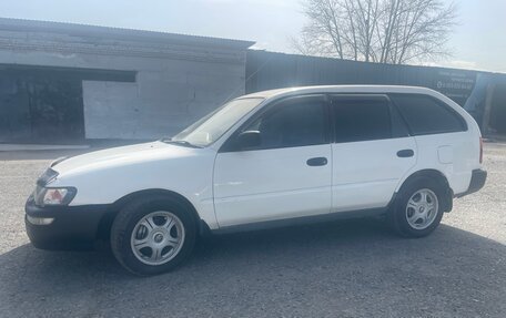 Toyota Corolla, 1999 год, 318 000 рублей, 13 фотография