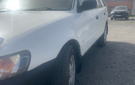 Toyota Corolla, 1999 год, 318 000 рублей, 11 фотография