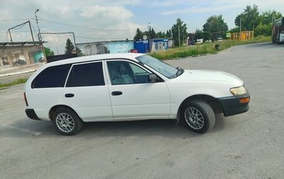 Toyota Corolla, 1998 год, 304 000 рублей, 1 фотография