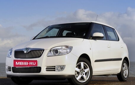Skoda Fabia II, 2010 год, 497 000 рублей, 1 фотография