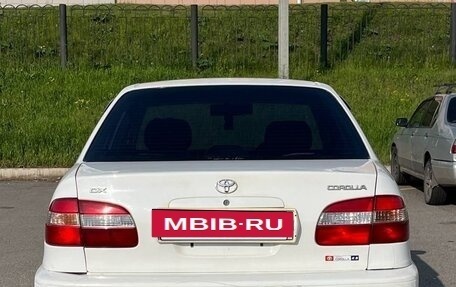 Toyota Corolla, 1998 год, 250 000 рублей, 13 фотография