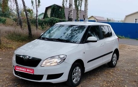 Skoda Fabia II, 2011 год, 485 000 рублей, 1 фотография