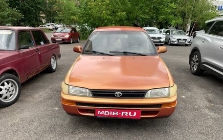 Toyota Corolla, 1997 год, 210 000 рублей, 1 фотография
