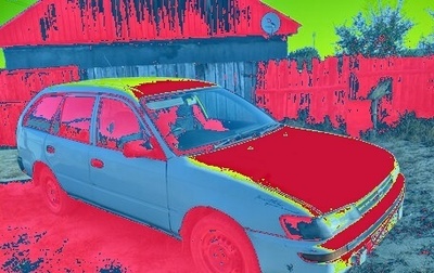 Toyota Sprinter VIII (E110), 1998 год, 245 000 рублей, 1 фотография