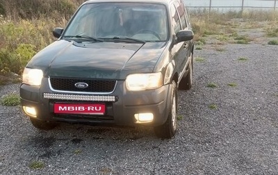 Ford Escape II, 2001 год, 350 000 рублей, 1 фотография