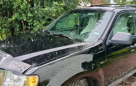 Ford Escape II, 2010 год, 710 000 рублей, 3 фотография