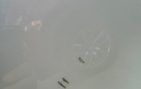 BMW X7, 2021 год, 7 200 000 рублей, 19 фотография