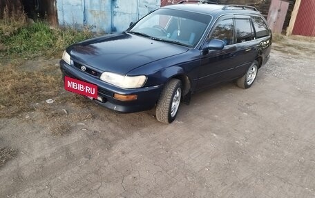 Toyota Corolla, 1996 год, 295 000 рублей, 3 фотография