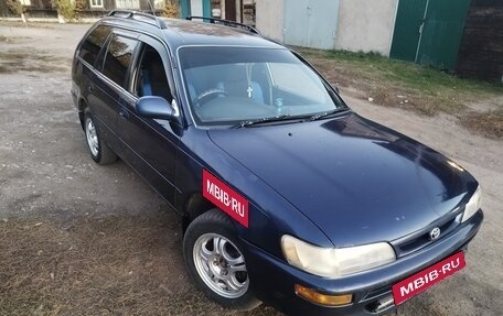 Toyota Corolla, 1996 год, 295 000 рублей, 2 фотография