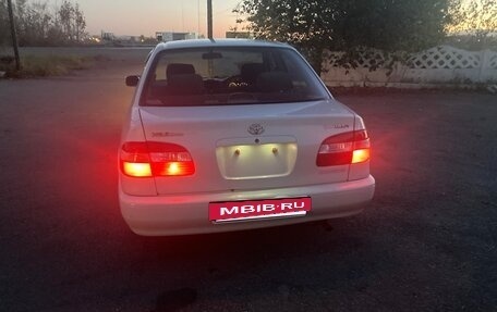 Toyota Corolla, 1999 год, 410 000 рублей, 4 фотография