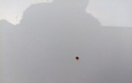 Skoda Yeti I рестайлинг, 2017 год, 1 190 000 рублей, 7 фотография