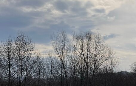 Lexus LS IV, 2008 год, 1 500 000 рублей, 4 фотография