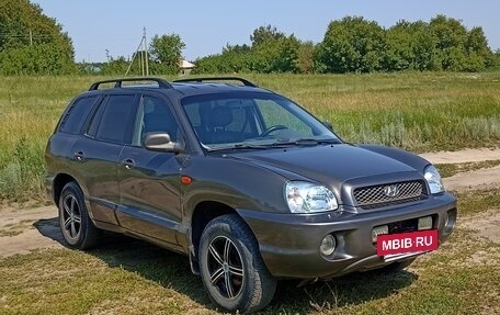 Hyundai Santa Fe III рестайлинг, 2004 год, 505 000 рублей, 2 фотография