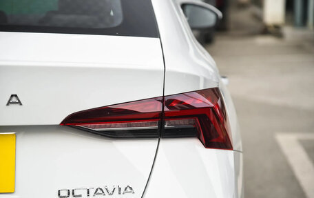 Skoda Octavia IV, 2025 год, 2 550 000 рублей, 16 фотография