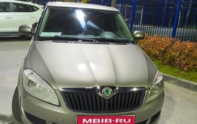 Skoda Fabia II, 2010 год, 900 000 рублей, 1 фотография