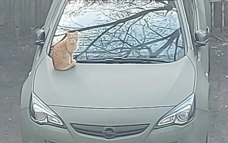 Opel Astra J, 2012 год, 819 999 рублей, 24 фотография