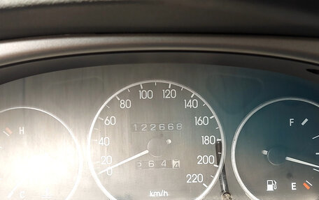 ЗАЗ Chance, 2011 год, 295 000 рублей, 6 фотография