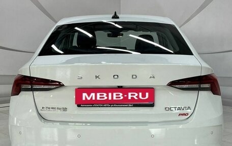 Skoda Octavia IV, 2025 год, 3 279 000 рублей, 6 фотография