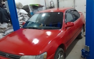 Toyota Corolla, 1993 год, 350 000 рублей, 1 фотография
