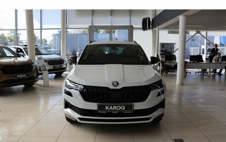 Skoda Karoq I, 2025 год, 4 500 000 рублей, 8 фотография