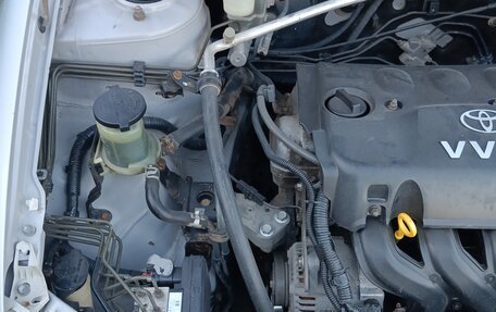 Toyota Corolla, 2003 год, 560 000 рублей, 7 фотография