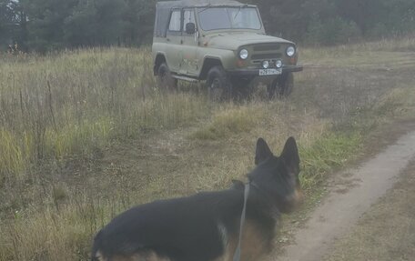 ЛуАЗ 3151, 1989 год, 195 000 рублей, 3 фотография