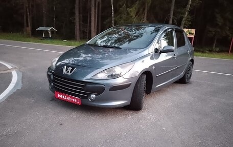 Peugeot 307 I, 2005 год, 380 000 рублей, 1 фотография