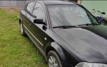 Volkswagen Passat B5+ рестайлинг, 2003 год, 450 000 рублей, 19 фотография