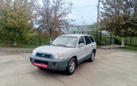 Hyundai Santa Fe III рестайлинг, 2003 год, 420 000 рублей, 2 фотография