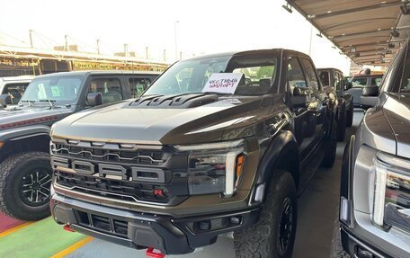 Ford F-150, 2025 год, 15 900 000 рублей, 25 фотография