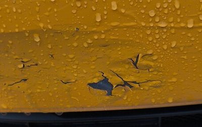 Geely Emgrand, 2023 год, 950 000 рублей, 1 фотография