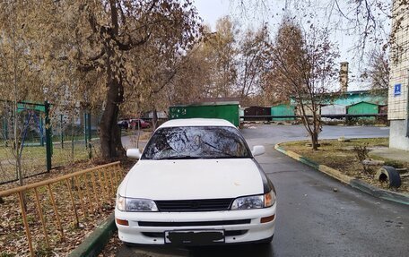 Toyota Corolla, 1997 год, 300 000 рублей, 1 фотография