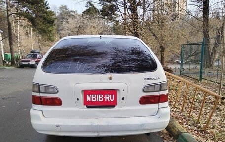 Toyota Corolla, 1997 год, 300 000 рублей, 2 фотография