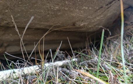 Honda Civic VIII, 2008 год, 590 000 рублей, 14 фотография