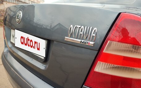 Skoda Octavia, 2007 год, 499 999 рублей, 16 фотография
