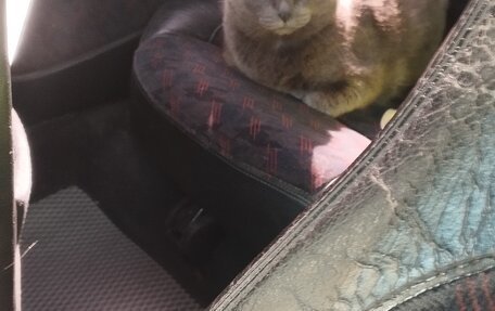 Honda Civic VII, 1998 год, 420 000 рублей, 9 фотография