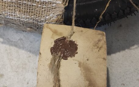 ЗАЗ 968, 1988 год, 99 000 рублей, 14 фотография