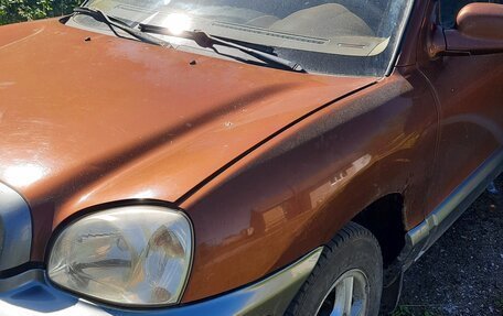 Hyundai Santa Fe III рестайлинг, 2002 год, 370 000 рублей, 8 фотография