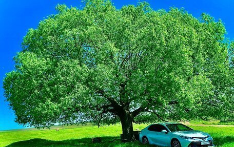 Toyota Camry, 2020 год, 3 500 000 рублей, 3 фотография