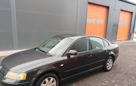 Volkswagen Passat B5+ рестайлинг, 1999 год, 340 000 рублей, 3 фотография