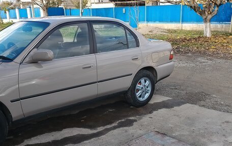 Toyota Corolla, 1991 год, 560 000 рублей, 1 фотография