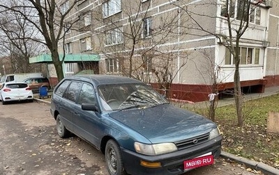 Toyota Corolla, 2000 год, 285 000 рублей, 1 фотография