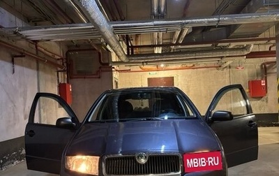 Skoda Fabia I, 2007 год, 850 000 рублей, 1 фотография