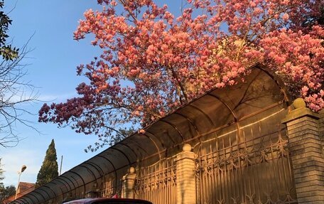 Mazda CX-5 II, 2018 год, 2 490 000 рублей, 6 фотография